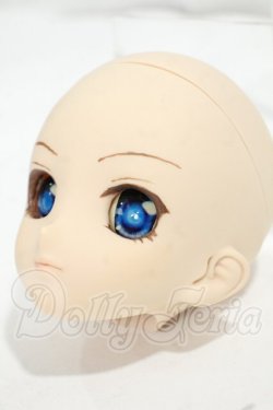 画像3: DDH-06/カスタムヘッド　フレッシュ Y-26-09-29-006-WT-ZY