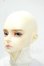 画像4: DIKADOLL/Lucius Y-26-10-06-006-WT-ZY (4)