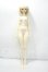画像6: Asleep Eidolon/Lillie Y-26-10-06-005-WT-ZY (6)