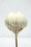 画像1: 8-9inch/ウィッグ Y-26-10-06-255-WT-ZY (1)