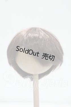 画像1: 8-9inch/ウィッグ Y-26-10-06-256-WT-ZY
