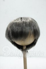 8-9inch/ウィッグ Y-26-10-06-254-WT-ZY