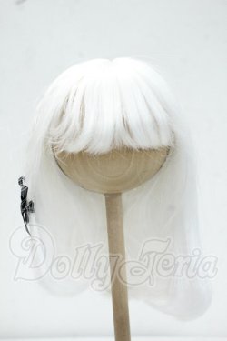 画像1: 8-9inch/ウィッグ Y-26-10-06-262-WT-ZY