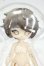 画像1: 秘境巡礼/アスタ Y-26-09-29-166-WT-ZY (1)