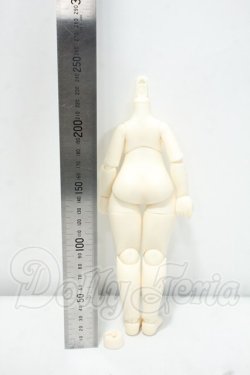 画像2: TinyFox/1/6新ボディ Y-26-10-20-004-WA-ZY