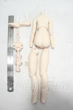 画像2: MDD/ベースボディ:あさちゃんち様フレーム内蔵・交換済 Y-26-10-06-289-WT-ZY