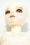 画像9: MYOU DOLL/Zuzana Literature ver. Limited Y-26-10-06-102-WT-ZY (9)