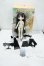 画像7: TinyFox/蜘蛛人形 アラクネ 1/6 Y-26-10-06-101-WT-ZY (7)