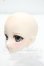 画像4: DDH-09/Ronshuka Couture様カスタムヘッド Y-26-10-13-308-WA-ZY (4)