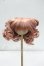 画像1: 8-9inch/ウィッグ Y-26-10-13-321-WA-ZY (1)