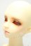 画像2: SDGrBoy/フルチョイス:F-58 Y-26-10-13-001-WA-ZY (2)