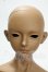 画像1: LUTS/Senior65 delf:BREEZE the fighter of earth human ver MOONLIT SONG Limted Y-26-10-13-292-WA-ZY (1)