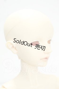 画像2: SD/リゲル 星間学寮Ver. Y-26-10-13-286-WA-ZY