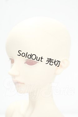 画像3: SD/リゲル 星間学寮Ver. Y-26-10-13-286-WA-ZY