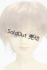 SD13/LINK(リンク)スタンダードフェア限定 Y-26-10-06-002-WT-ZY
