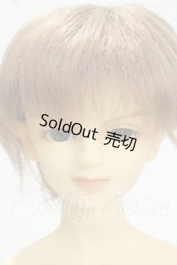 画像1: SD13/LINK(リンク)スタンダードフェア限定 Y-26-10-06-002-WT-ZY