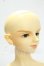 画像3: SD13/LINK(リンク)スタンダードフェア限定 Y-26-10-06-002-WT-ZY (3)
