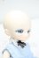 画像3: TinyFox/シームーン アウレリア Y-26-10-13-348-WA-ZY (3)