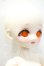 画像2: 【DOLK×MAYDOLL】檸檬猫 - ぺんぎん幼稚園 ver. Limited 世界40体限定 Y-26-10-13-304-WA-ZY (2)