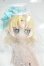 画像1: 桜画集スタジオ/異象重構：キツネ Y-26-10-13-340-WA-ZY (1)