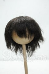 8-9inch/ウィッグ Y-26-10-27-274-WA-ZY