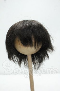 画像1: 8-9inch/ウィッグ Y-26-10-27-274-WA-ZY