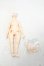 画像1: SIMONTOYS LIRORO(リロロ)/ボディパーツ Y-26-10-20-038-WA-ZY (1)