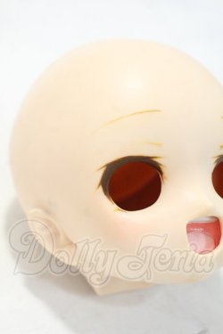 画像3: DD(MDD)/DDH-01 カスタムヘッド Y-26-10-13-020-WA-ZY