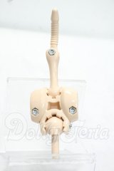MDD/上半身フレーム(DD-F3) Y-26-10-27-321-WA-ZY