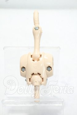 画像2: MDD/上半身フレーム(DD-F3) Y-26-10-27-321-WA-ZY
