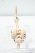 MDD/上半身フレーム(DD-F3) Y-26-10-27-328-WA-ZY