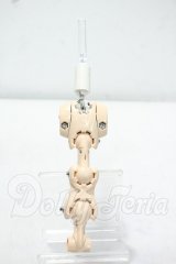 MDD/上半身+下半身フレーム(DD-F3) Y-26-10-27-320-WA-ZY