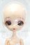 画像1: Harmonia bloom(ハルモニア ブルーム)/Seasonal Doll:Charlotte Melone(シャルロッテ メローネ) Y-26-10-13-303-WA-ZY (1)