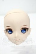 DD/カスタムヘッド:DDH-09 Y-26-10-27-304-WA-ZY