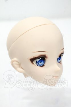 画像2: DD/カスタムヘッド:DDH-09 Y-26-10-27-304-WA-ZY