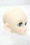 画像2: DOLLCE/DC60-05ヘッド Y-26-10-27-302-WA-ZY (2)
