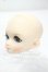 画像3: DOLLCE/DC60-05ヘッド Y-26-10-27-302-WA-ZY (3)
