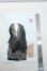 画像2: azone/OF:AZO2レディーススーツset Y-26-10-27-138-WA-ZY (2)