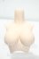 画像1: DD3-B-02f　上半身パーツL胸フラットver. Y-26-10-27-306-WA-ZY (1)