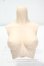 画像1: DDS-B-03上半身パーツS胸 Y-26-10-27-307-WA-ZY (1)