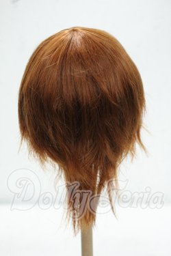 画像2: 8-9inch/ウィッグ Y-26-10-27-260-WA-ZY