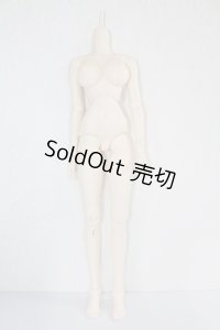 DDボディ A-23-12-20-1009-NY-ZU