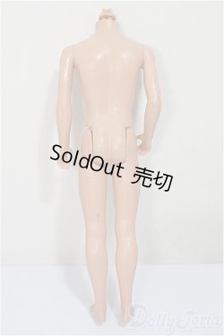 画像2: 1/6男性ボディ/ A-25-08-13-264-NY-ZA