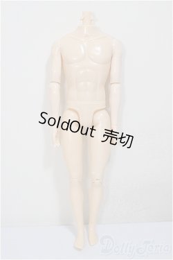 画像1: 1/6男性ボディ/ A-25-08-13-263-NY-ZA
