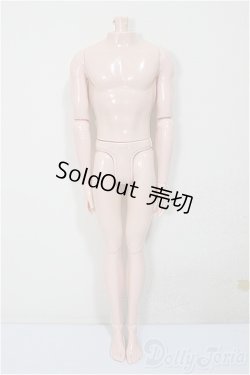 画像1: 1/6男性ボディ/ A-25-08-13-262-NY-ZA