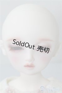 DearSD/ウナ U-24-12-17-212-TN-ZU