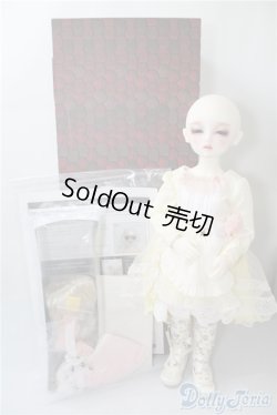 画像5: DearSD/ウナ U-24-12-17-212-TN-ZU