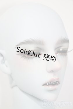 画像4: Idealian/Gentle Homme : Zak A-25-02-26-1069-TN-ZU