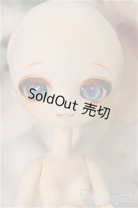ピコニーモDボディ＆パラボックス・カスタムヘッド A-24-06-12-331-NY-ZA