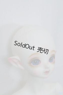 画像5: PEAKS WOODS/FOB Vampire Little Yeru A-23-09-27-357-NY-ZA